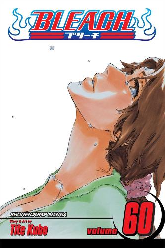 Bleach, Vol. 60: Volume 60