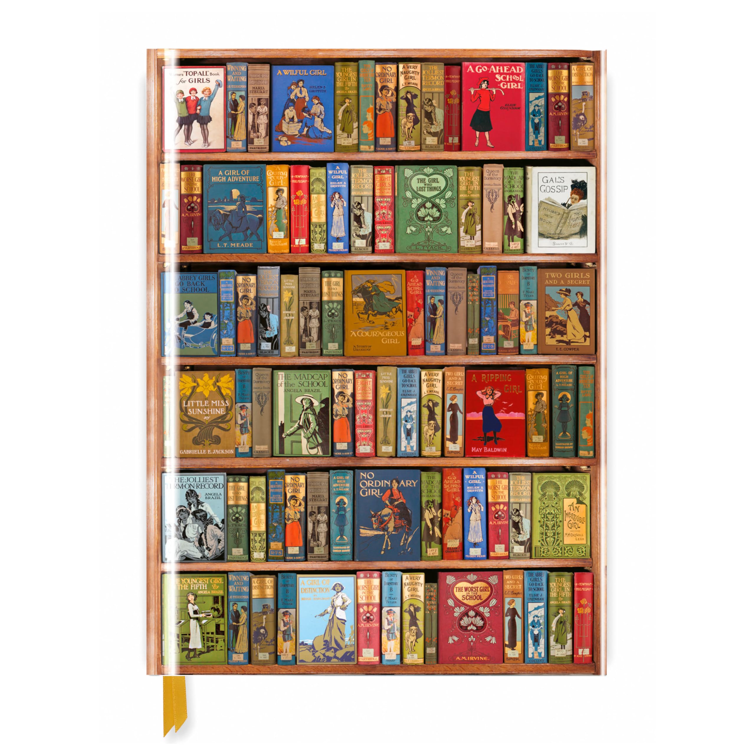 Bodleian Libraries: High Jinks Bookshelves (Blank Sketch Book)